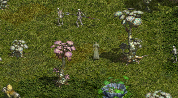 活動地圖天空.png